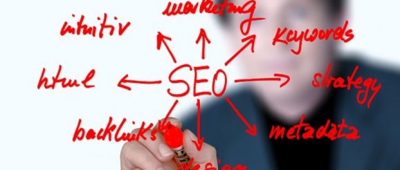 seo specialist